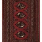 turkmen C00249